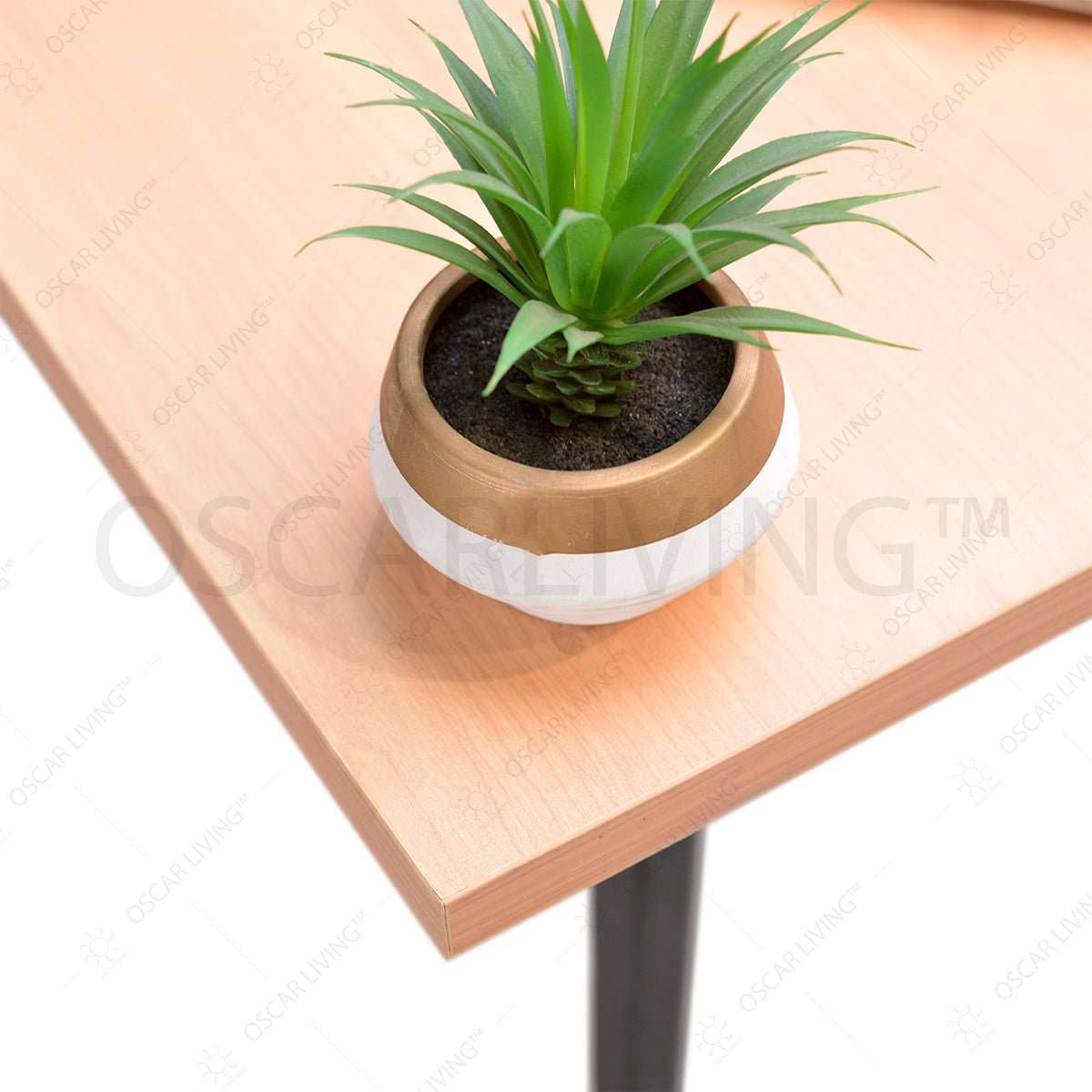 RENTAL SEWA OLIVER0063 OLIV RENTAL DIVISION OSCARLIVING