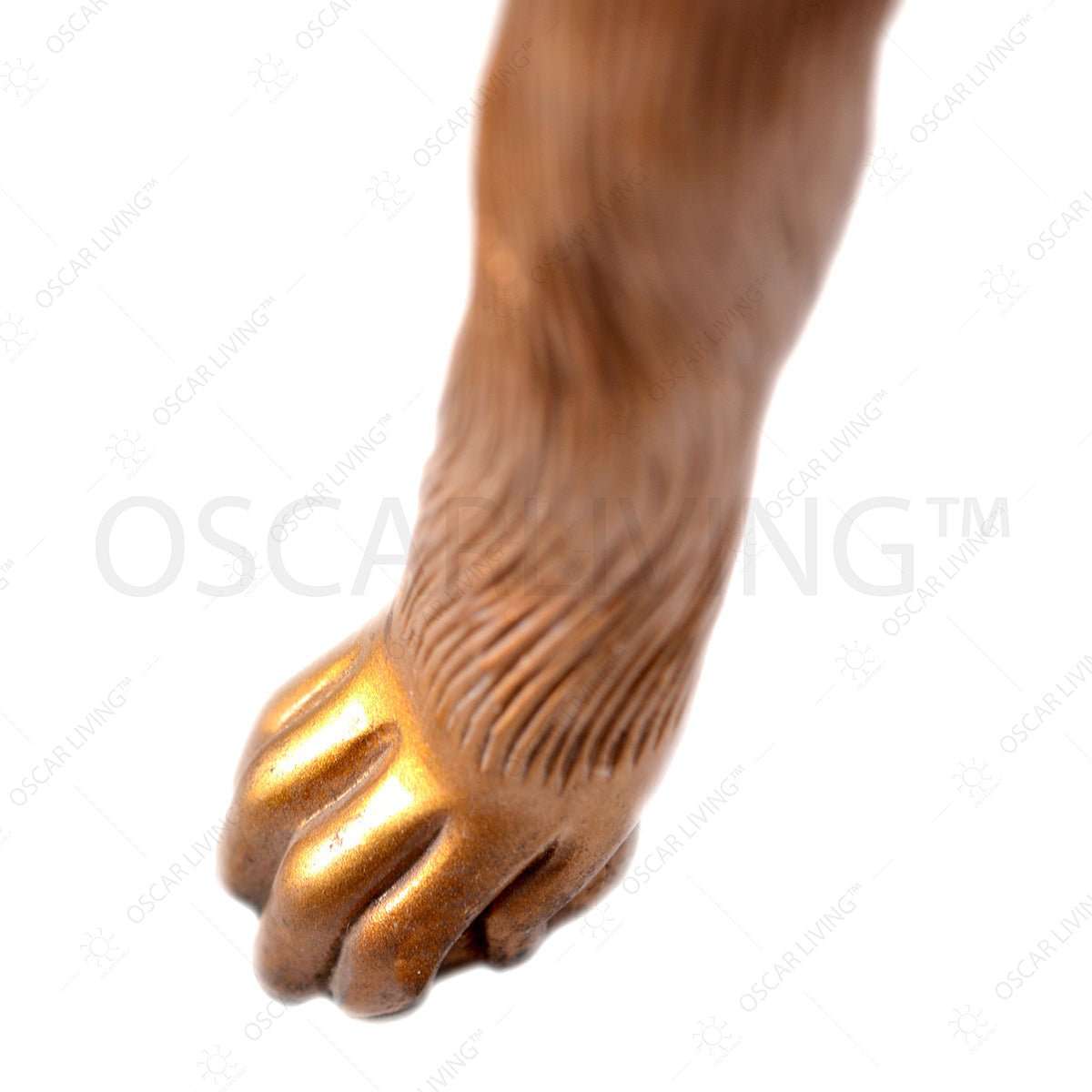 RENTAL SEWA OLIVER0123 OLIV RENTAL DIVISION OSCARLIVING