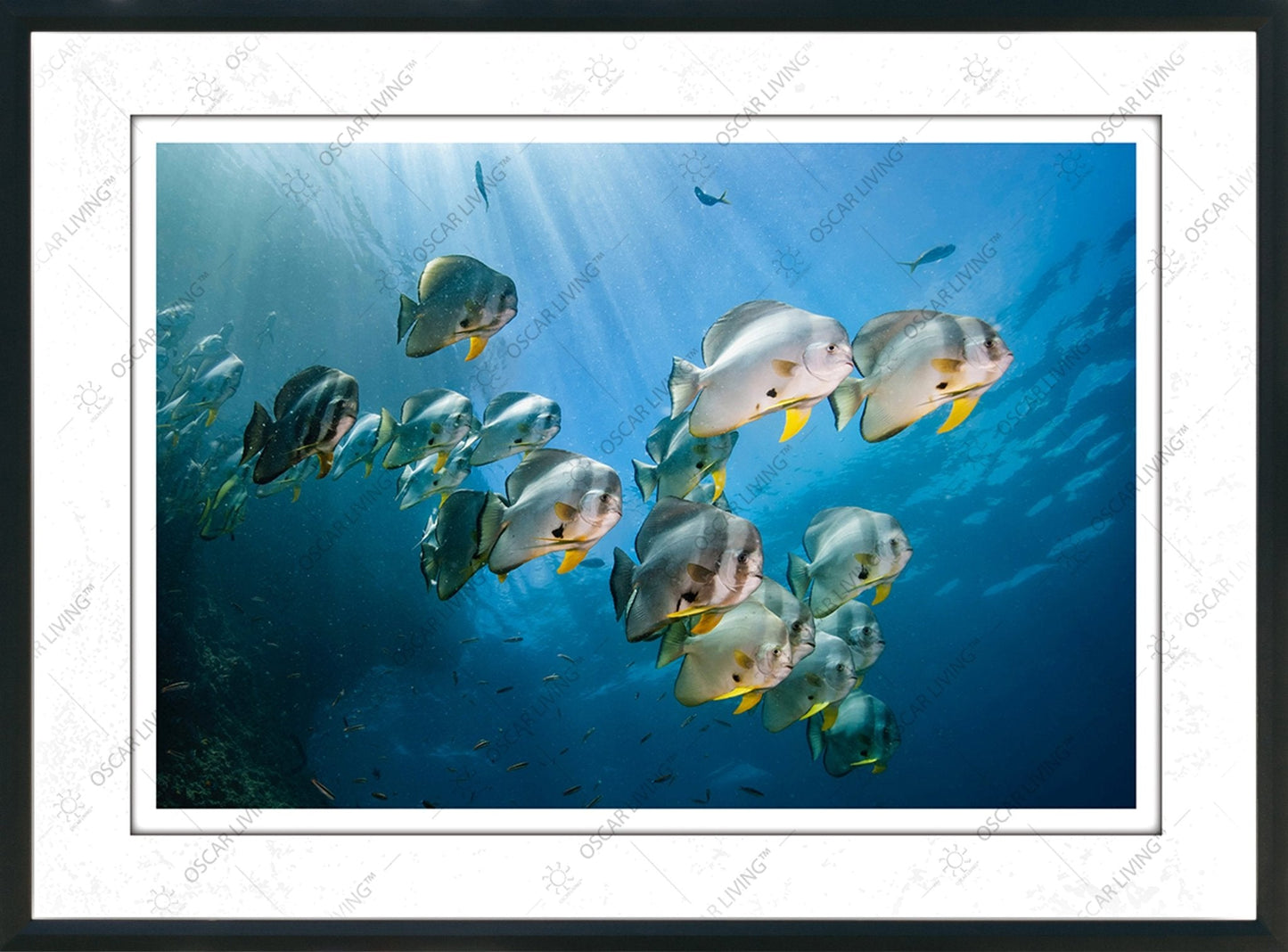 RENTAL SEWA OLIVER ART0031 OLIV RENTAL DIVISION OSCARLIVING