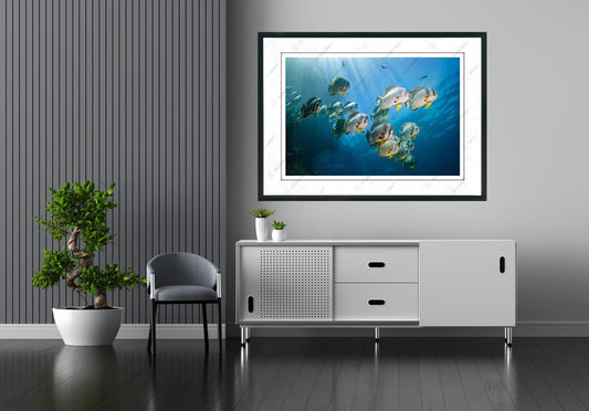 RENTAL SEWA OLIVER ART0031 OLIV RENTAL DIVISION OSCARLIVING